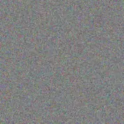 Mittie Haley xavier jerde