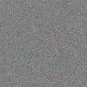 Monique King jacobus mncube