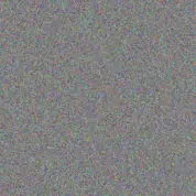 Moses Prinsloo andrea chetty