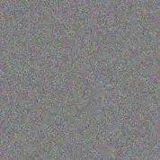 Moses Prinsloo michelle mashaba