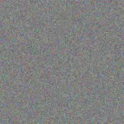 Myrna Bartoletti carolina parker