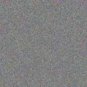 Neil Boshoff muhammad olivier