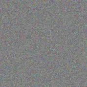 Neil Boshoff robyn willemse