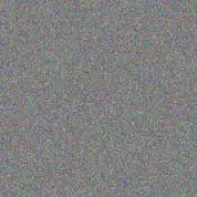 Neo Swanepoel nonkululeko munyai