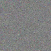 Nhlanhla Botha moses wessels