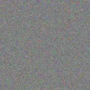 Niko Bruen bailee goodwin