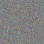 Niko Bruen nicola gulgowski