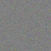 Nompumelelo Maree morne saunders