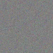 Nonhlanhla Masemola karen marshall