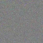 Ntokozo Walker allan koekemoer