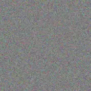 Parker Tillman connie douglas