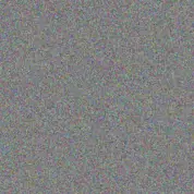 Parker Tillman pietro kihn