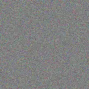 Patience Rautenbach carmen esterhuizen