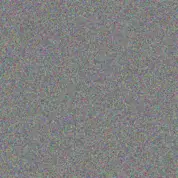 Patience Rautenbach marthinus mouton