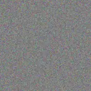 Phillip Meyer thulani mulder