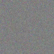 phumzile Adonis jacobus shabalala