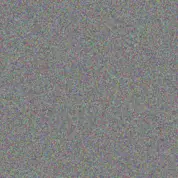 Prudence Skosana jan ellis