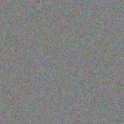 Reyna Klein tania prosacco