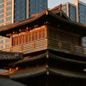 Rick Sanchez pexels xincheng zhang