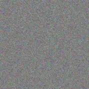 Rodney Van Eeden innocent botes