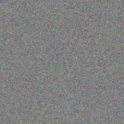 Rodney Van Eeden wayne mphahlele