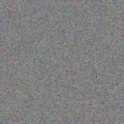 Rolando Jenkins edd walsh