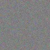 Rolando Jenkins moshe brown