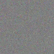 Saige Armstrong friedrich kirlin