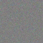 Saige Armstrong paul lindgren