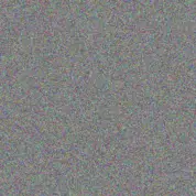 Stephen Tromp colten grimes