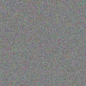 Stone Gottlieb estrella paucek