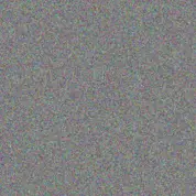 Sydnie Auer earnest russel