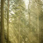 Testing Profile pexels michal miszczak