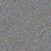 Thomas Watson gregory de bruin