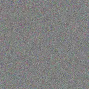 To  Petersen refilwe de beer