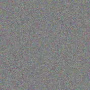 Tracey Schoeman adriaan moloi