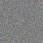 Tracey Schoeman kobus simelane