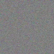 Tracey Schoeman yvonne nxumalo