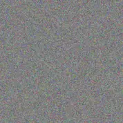 Vuyokazi Cele bradley labuschagne