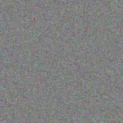 Wade Rempel mollie kuvalis