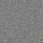 zandile Roberts roy wessels