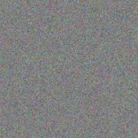 Abraham Maleka carla solomon