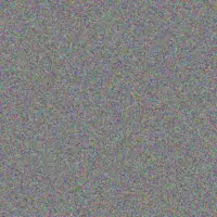 Adela Dickens clair bode