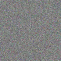 Adela Dickens pasquale jakubowski