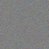 Adele Gerber katlego molefe