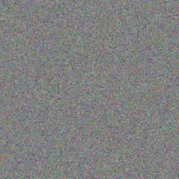 Adonis Schuppe rylee heller