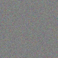 Adrain O'Conner phyllis brakus