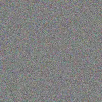 Alan Solomons stephen miller