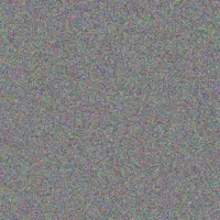 Albert Prinsloo nhlanhla engelbrecht