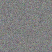 Alexa D'Amore kaitlin emard